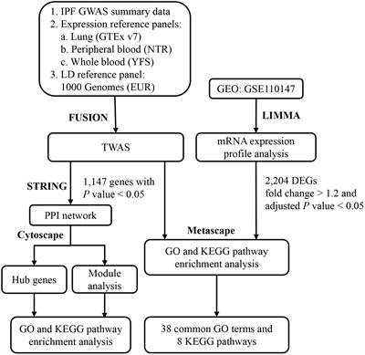 Integrative Analysis of Transcriptome-Wide Association Study and mRNA Expression Profiles Identifies Candidate Genes Associated With Idiopathic Pulmonary Fibrosis